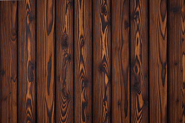 2_Degmeda jantar ariš_Amber larch s