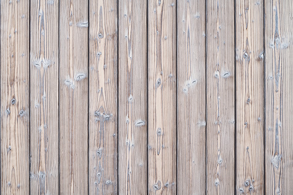 6_Degmeda srebrno siva smreka_Silver grey spruce s