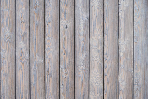 6_Degmeda srebrno sivi ariš_Silver grey larch s