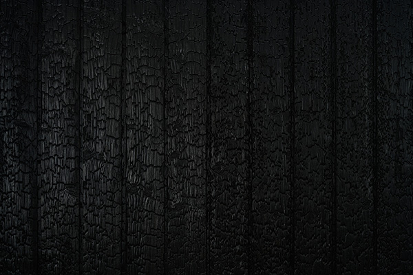 7_Degemda intenzivno ugljenasti ariš_Deep char larch s